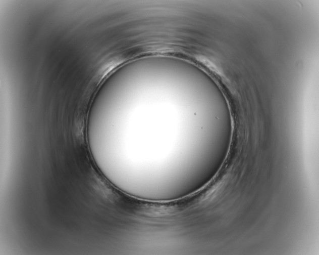 X0000086921273200704301050