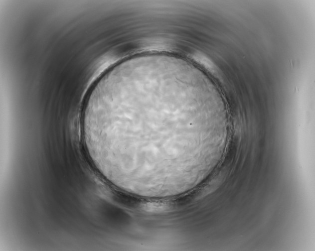 X0000086921274200704301050