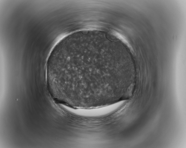 X0000086921275200704301050