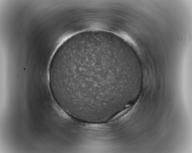 X0000086921280200704301050