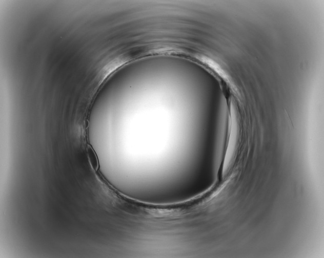 X0000086921281200704301050