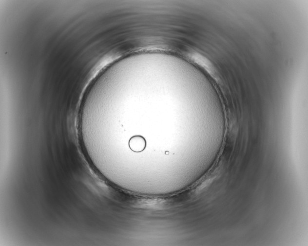 X0000086921282200704301050