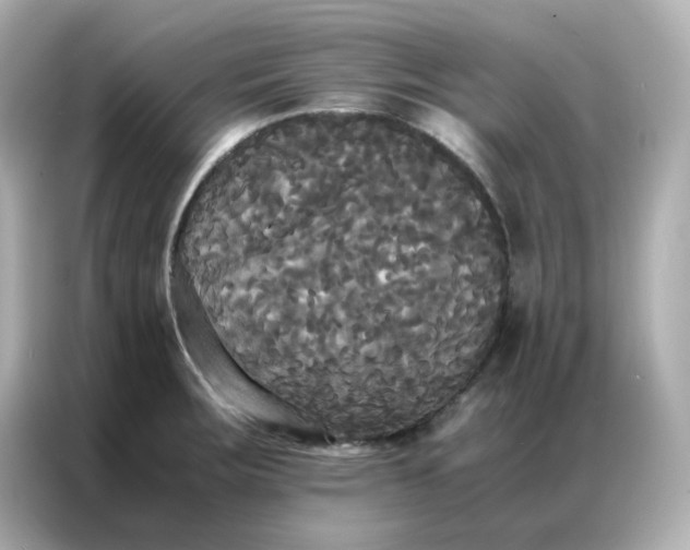 X0000086921283200704301050