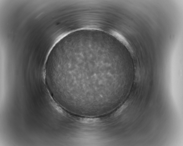X0000086921284200704301050