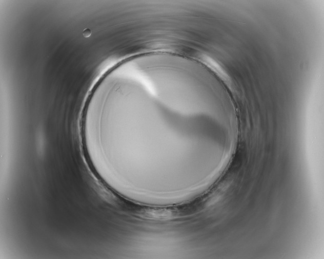 X0000086921291200704301050