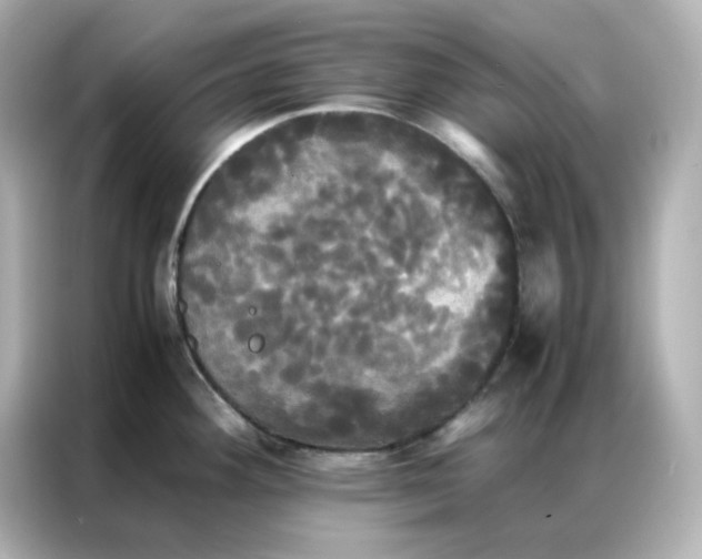 X0000086921292200704301050
