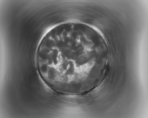 X0000086921295200704301049