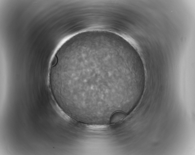X0000086921296200704301049