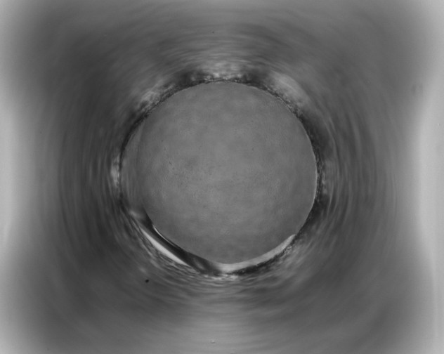 X0000086921298200704301049
