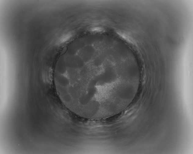 X0000086921301200704301049