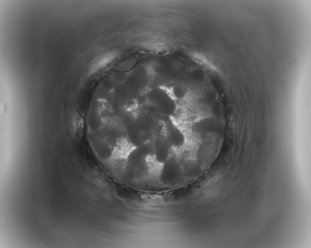X0000086921302200704301049