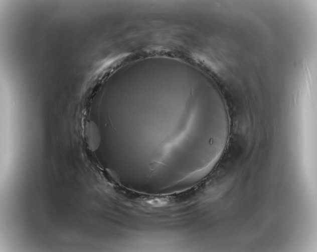 X0000086921303200704301049