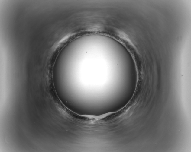 X0000086921304200704301049