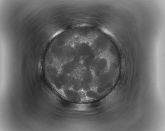 X0000086921305200704301049