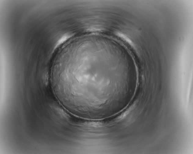 X0000086921306200704301049