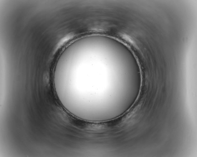 X0000086921307200704301049