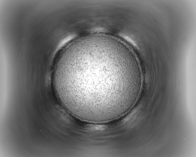 X0000086921309200704301049