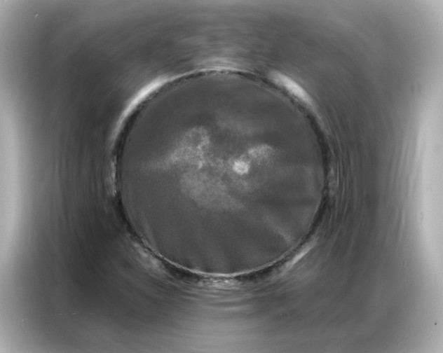 X0000086921310200704301049