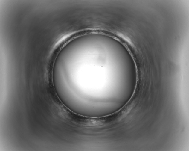 X0000086921311200704301049