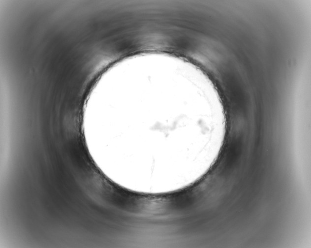 X0000086921314200704301049