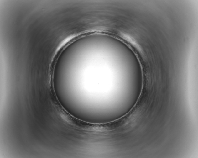 X0000086921316200704301049