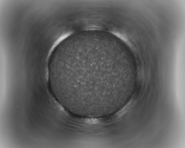 X0000086921317200704301049