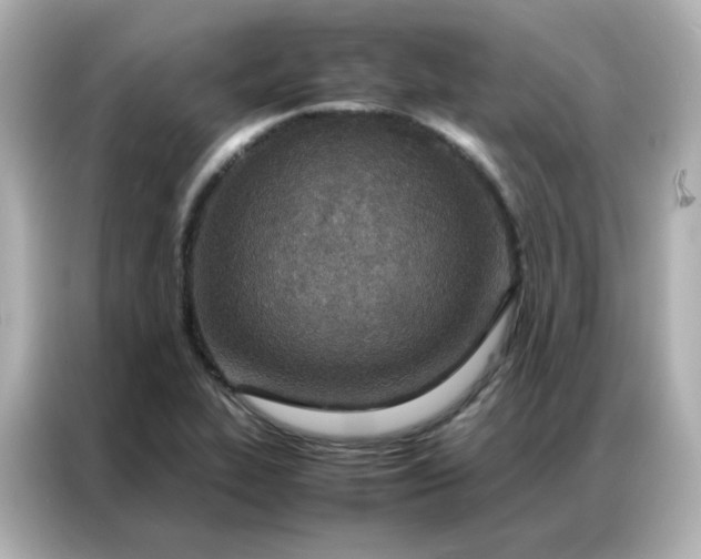 X0000086921319200704301049
