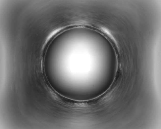 X0000086921320200704301049