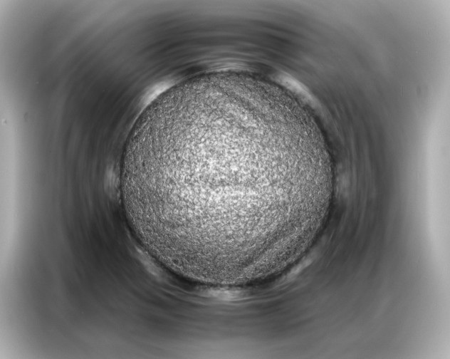 X0000086921321200704301049