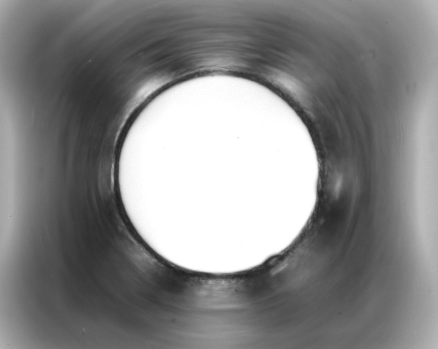 X0000086921322200704301049