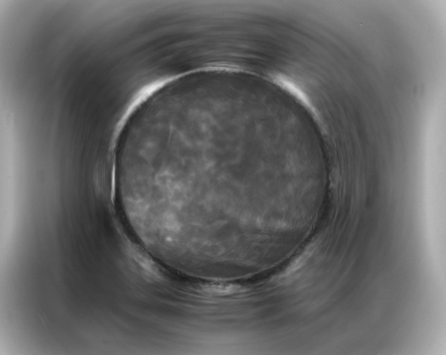 X0000086921323200704301049