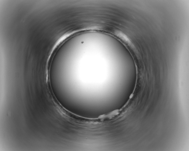 X0000086921324200704301049