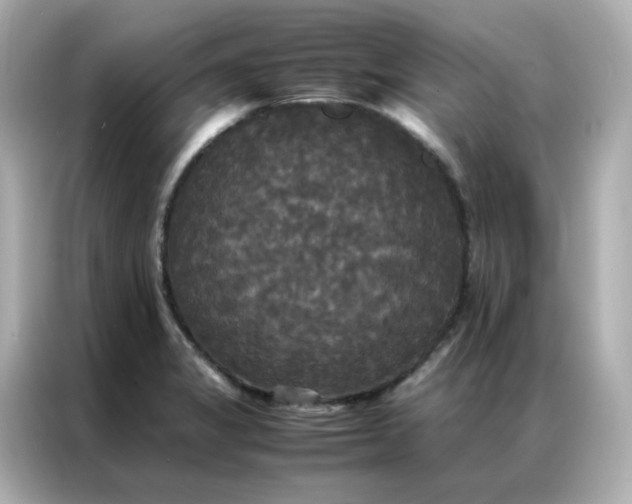X0000086921325200704301049