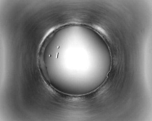 X0000086921326200704301049