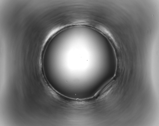 X0000086921328200704301049