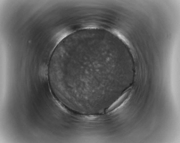 X0000086921329200704301049