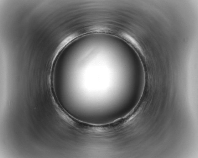 X0000086921330200704301049