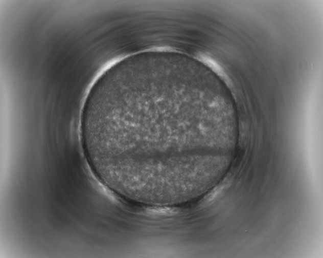 X0000086921331200704301049