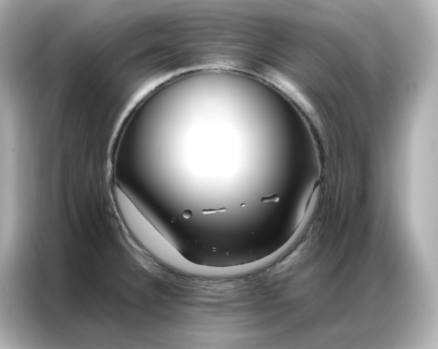X0000086921332200704301049
