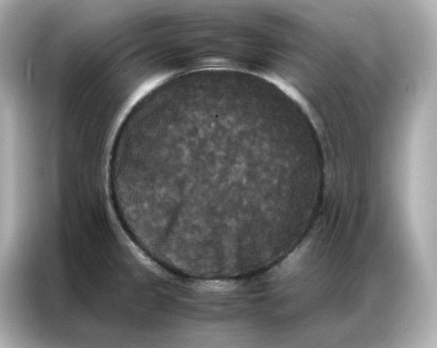 X0000086921333200704301049