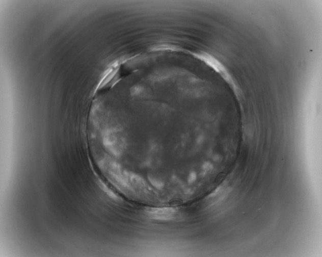 X0000086921337200704301049