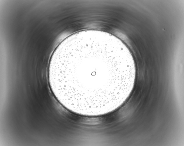 X0000086921338200704301049