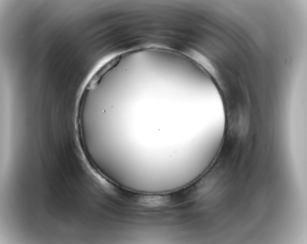X0000086921339200704301049