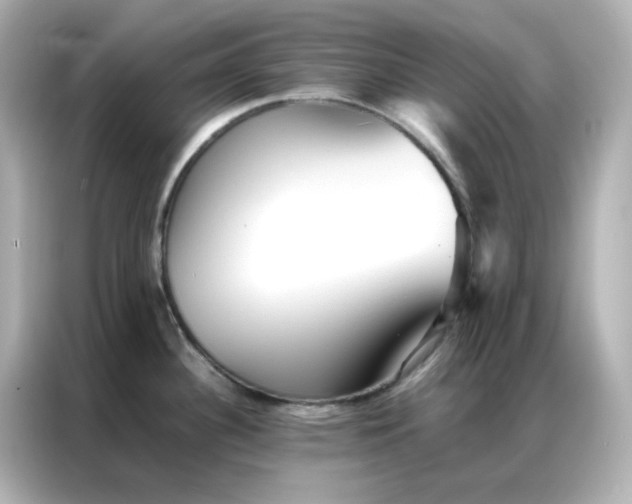 X0000086921340200704301049