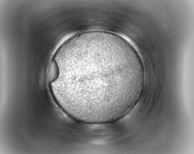 X0000086921341200704301049