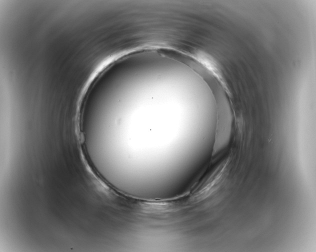 X0000086921342200704301049