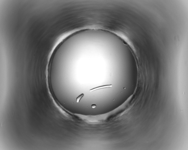 X0000086921343200704301049