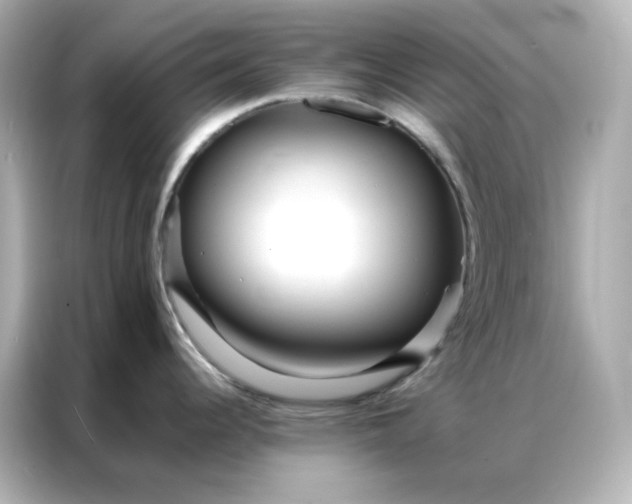 X0000086921344200704301049