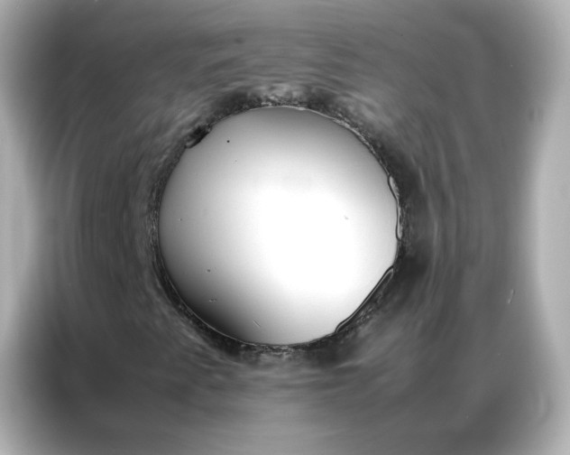 X0000086921345200704301049