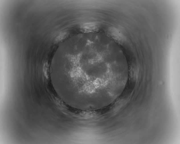 X0000086921346200704301049